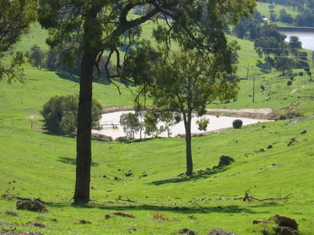 Vista Ridge Estate - Top Paddock Cottage - Accommodation Tasmania 3