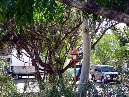 Kojonup Caravan Park - Accommodation Tasmania 1