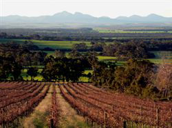 The Sleeping Lady Private Retreat - Accommodation Tasmania 5
