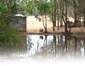 Cambray Cottages - Accommodation Tasmania 3