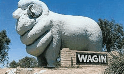 Wagin Motel - Accommodation Tasmania