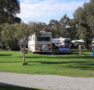 Pinjarra Caravan Park - Accommodation Tasmania