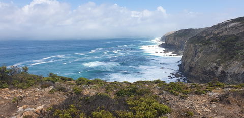 Amoria Beach House - Accommodation Tasmania 2