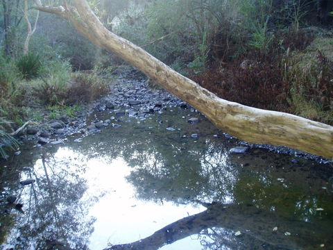 Barkeldine Farm Country Retreat - Accommodation Tasmania 1