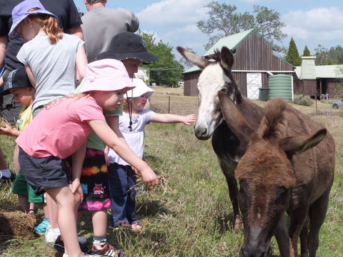 Barkeldine Farm Country Retreat - Accommodation Tasmania 2