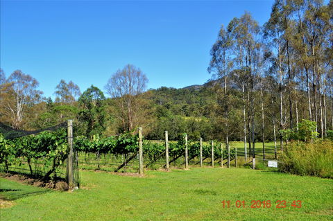 Barney Creek Vineyard Cottages - Accommodation Tasmania 1