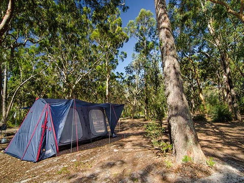 Boomeri Campground - Accommodation Tasmania 1
