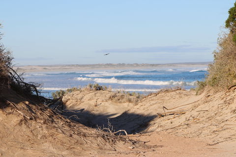 Chadinga Conservation Park Campground - Accommodation Tasmania 0