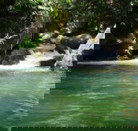 Daintree Secrets Rainforest Sanctuary - Accommodation Tasmania