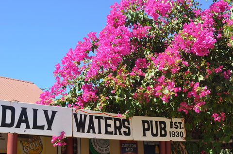 Daly Waters Historic Pub - Accommodation Tasmania 0