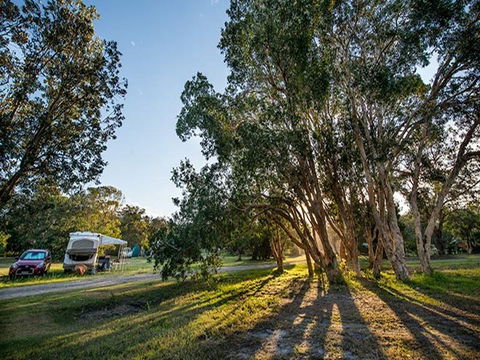 Delicate Campground - Accommodation Tasmania 0