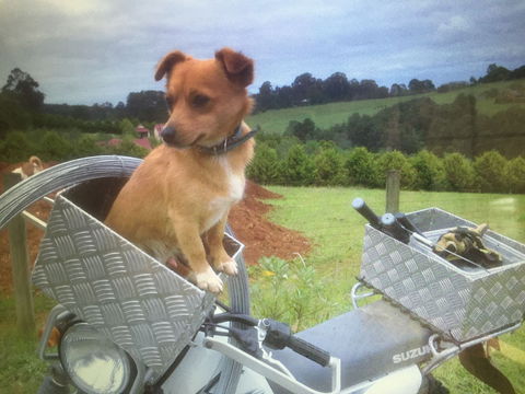 Farm Accommodation - Accommodation Tasmania 1