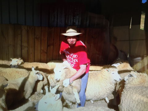 Farm Accommodation - Accommodation Tasmania 2