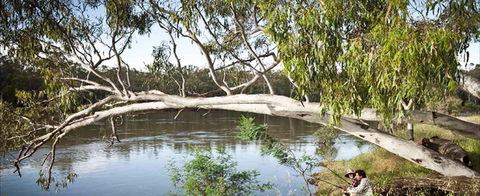 Hay Caravan Park - Accommodation Tasmania 1