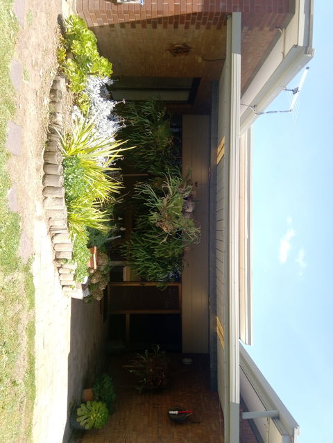 Hilltop Escape B&B - Accommodation Tasmania 0