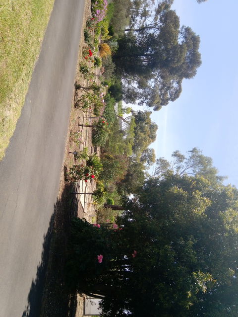 Hilltop Escape B&B - Accommodation Tasmania 1