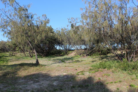 K'gari (Fraser Island) Camping, Great Sandy National Park - Accommodation Tasmania 1