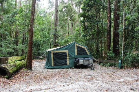 K'gari (Fraser Island) Camping, Great Sandy National Park - Accommodation Tasmania 2