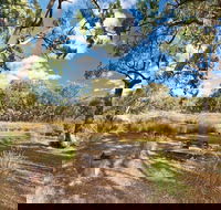 Kings Plains Creek campground - Accommodation Tasmania