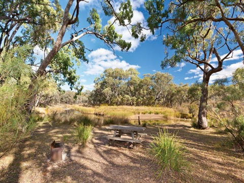 Kings Plains Creek Campground - Accommodation Tasmania 0