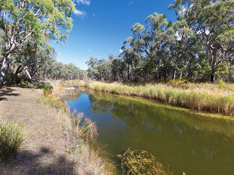 Kings Plains Creek Campground - Accommodation Tasmania 1