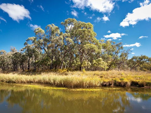 Kings Plains Creek Campground - Accommodation Tasmania 2
