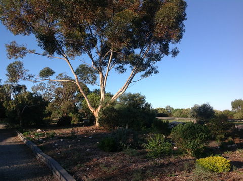 Murray Bridge Motor Inn - Accommodation Tasmania 2
