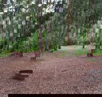 Murphys Glen campground - Accommodation Tasmania
