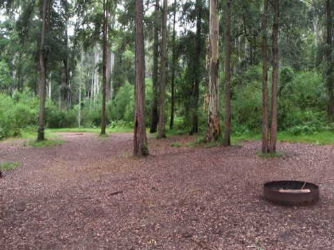Murphys Glen Campground - Accommodation Tasmania 0