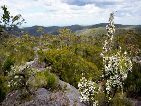 Murphys Glen Campground - Accommodation Tasmania 1