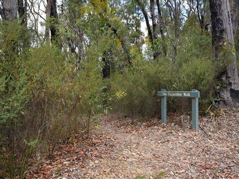 Murphys Glen Campground - Accommodation Tasmania 2