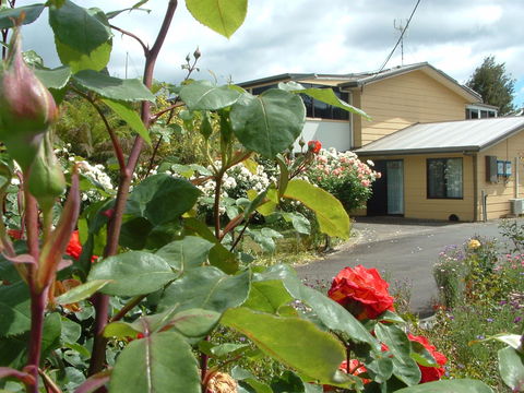 North East Restawhile Bed And Breakfast - Accommodation Tasmania 1
