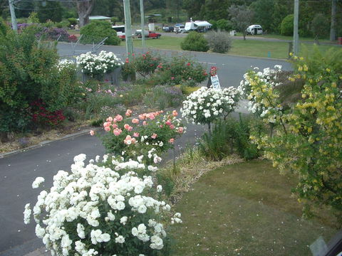 North East Restawhile Bed And Breakfast - Accommodation Tasmania 2