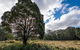 Nunnock Campground - thumb 0