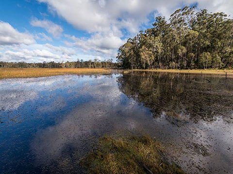 Nunnock Campground - Accommodation Tasmania 2