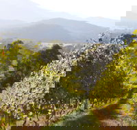 Rosetta's Garden Guesthouse - Accommodation Tasmania