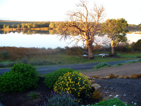 Sangria - Accommodation Tasmania 0