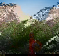 Sandstone Park Carnarvon Gorge - Accommodation Tasmania