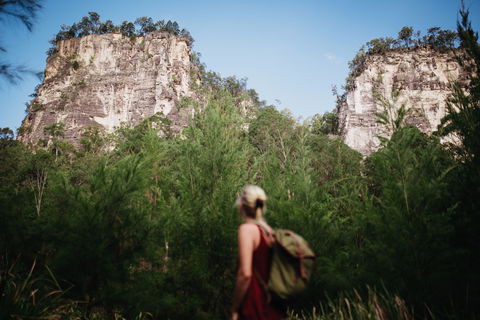 Sandstone Park Carnarvon Gorge - Accommodation Tasmania 0