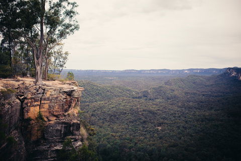 Sandstone Park Carnarvon Gorge - Accommodation Tasmania 1