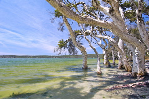 Shoal Cape Camp At Stokes National Park - Accommodation Tasmania 0