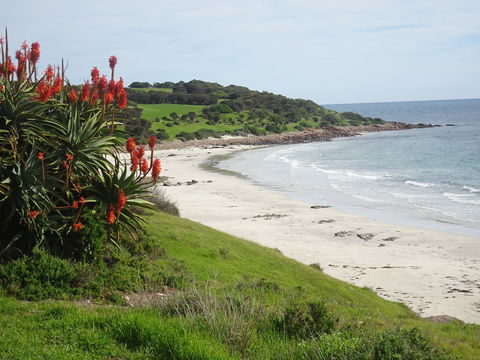Tu Emuz Stone Beachfront Cottage, Supporting Fire Recovery, Emu Bay, KI - Accommodation Tasmania 2