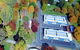 Tumbarumba Caravan Park - thumb 1