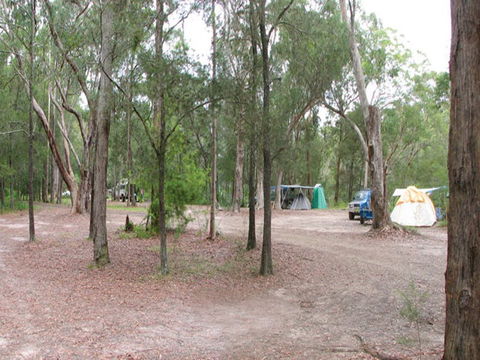 Wallingat River Campground - Accommodation Tasmania 1