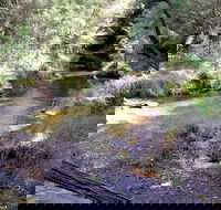 Wheeny Creek campground - Accommodation Tasmania