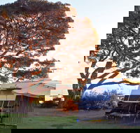 WhiteCliffs to Camerons Bight Foreshore Reserve - Accommodation Tasmania