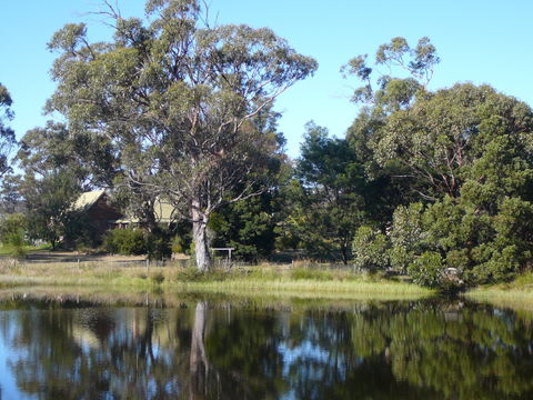 Wind Song Bed And Breakfast - Accommodation Tasmania 2