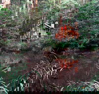 Woodlands Rainforest Retreat - Accommodation Tasmania
