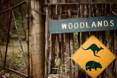 Woodlands Rainforest Retreat - Accommodation Tasmania 1