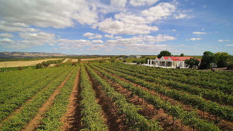 1837 Barossa Luxury Vineyard Cottages - Accommodation Tasmania 0